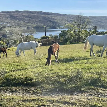 Buttermilk Πανσιόν