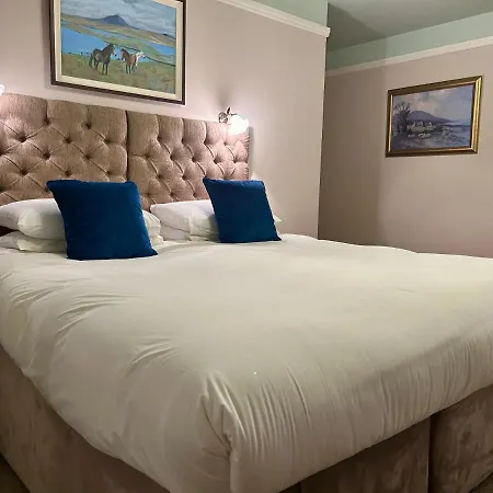 Guest house Buttermilk Clifden