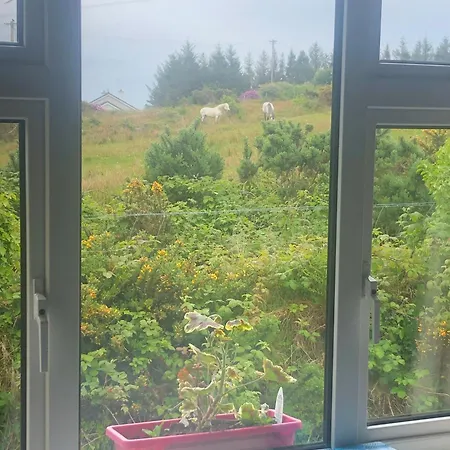 Buttermilk Vendégház Clifden