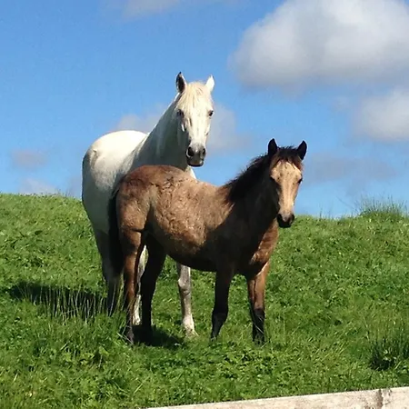 Pensionat Buttermilk Clifden