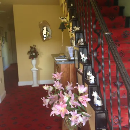 Buttermilk Πανσιόν