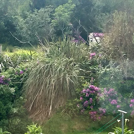 Buttermilk Pensionat Clifden