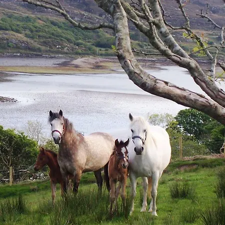Buttermilk Πανσιόν