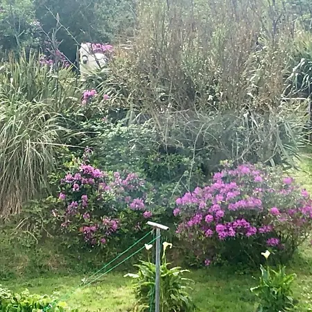 Gæstehus Buttermilk