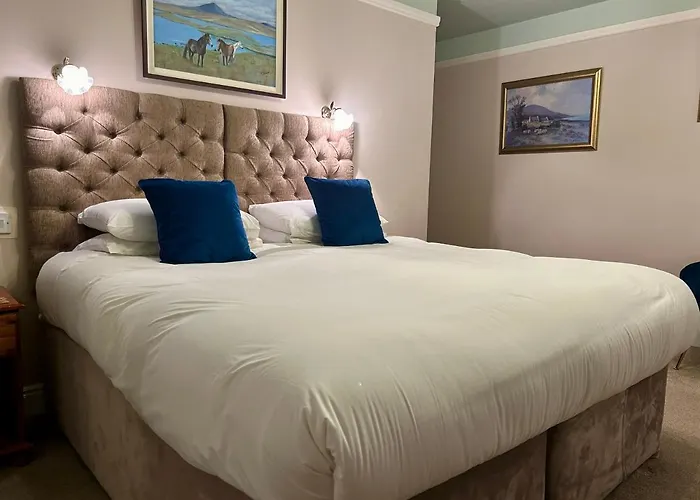 Pensjonat Buttermilk Clifden