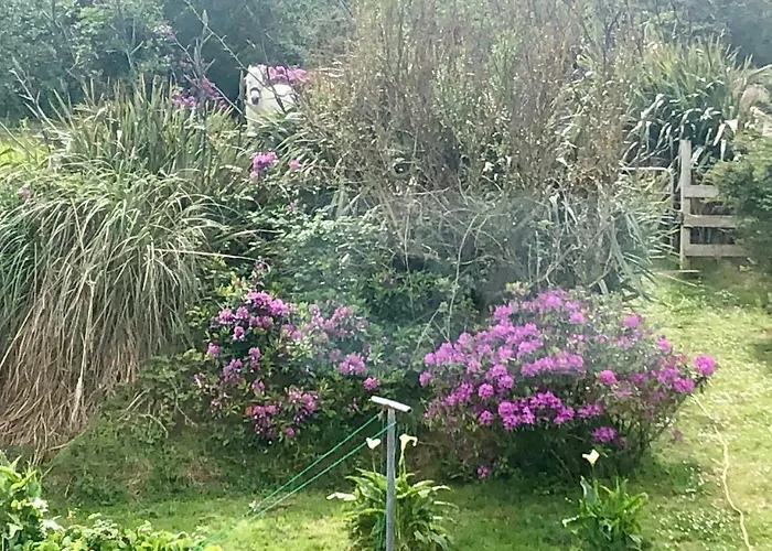 Gæstehus Buttermilk